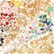 200Pcs Charms for Jewelry Making, Assorted Jewelry Bangle Charms, Wholesale Mixed Bulk Metal Earring Charms for DIY Necklace Bracelet Jewelry Making and Crafting (Assorted Color)